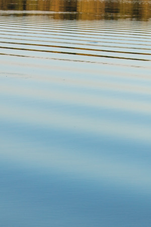 The surface of the water in the pond at sunset as a background .の写真素材