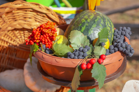 Fresh vegetables are sold at the fair in the fall .の写真素材