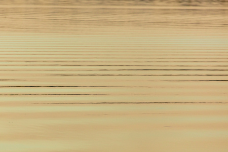 The surface of the water in the pond at sunset as a background .の写真素材