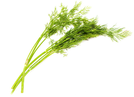 Green leaves of dill on a white background .の写真素材