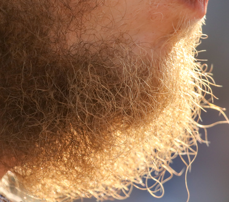 Hair on a beard of the man. Macro