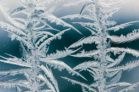 Snow patterns on glass as an abstract background .の写真素材