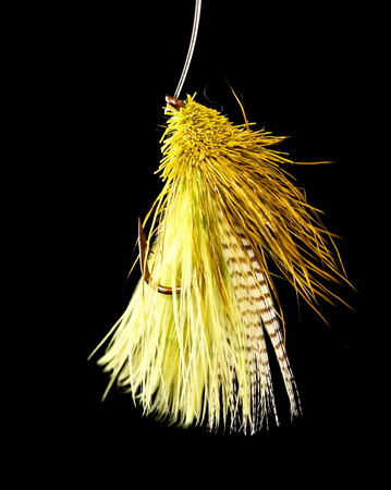 Feathers on the hook for fishing on a black background .の写真素材