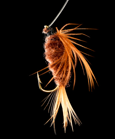 Feathers on the hook for fishing on a black background .