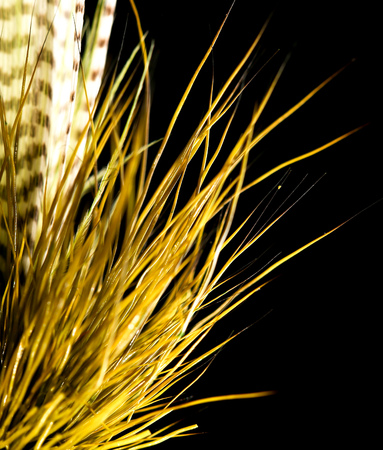 Feathers on the hook for fishing on a black background .の写真素材