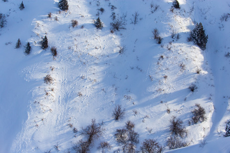 White snow on the mountainside as a background.