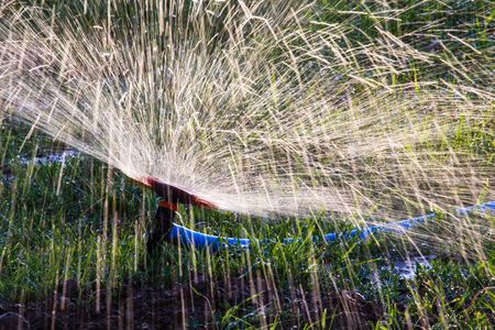 Splashing water to water the lawn as a background .の写真素材