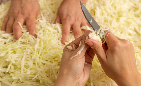 Woman cutting cabbage with a knife in the kitchen .の写真素材