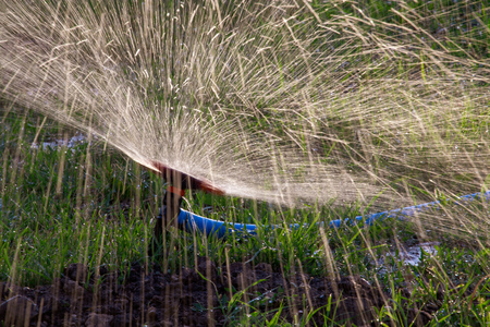 Splashing water to water the lawn as a background .の写真素材