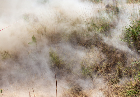 A cloud of dust from cars on nature as a backgroundの写真素材