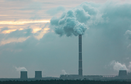 Smoke from pipes at the plant pollutes the environment .