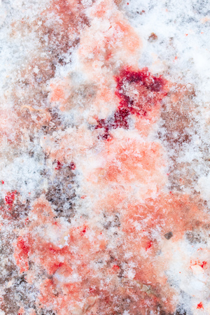 Red blood on white snow as a background.の写真素材