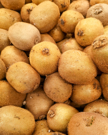 Ripe kiwi on the shop window .の写真素材
