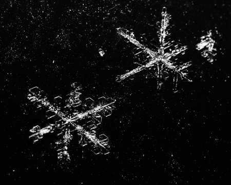 White snowflakes on a white background. Macroの写真素材