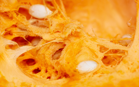 Orange pulp with seeds in a pumpkin as background .の写真素材