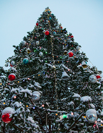 The lights are burning on the tree at night .の写真素材