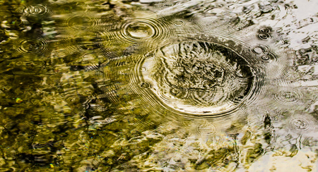 Circles on the surface of the reservoir as a background .の写真素材