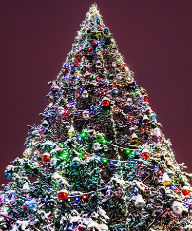 The lights are burning on the tree at night .