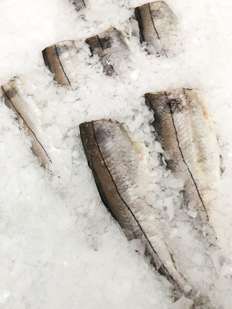 Fish in the ice in the store .