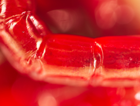 Red worms bloodworms as background .の写真素材