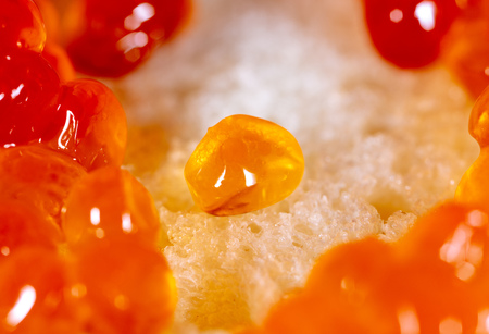 Red caviar on bread as a background. Macro