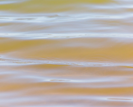 Surface on the pond as a background .の写真素材