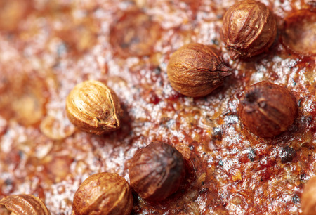 Sesame rye bread as a background. Macroの写真素材