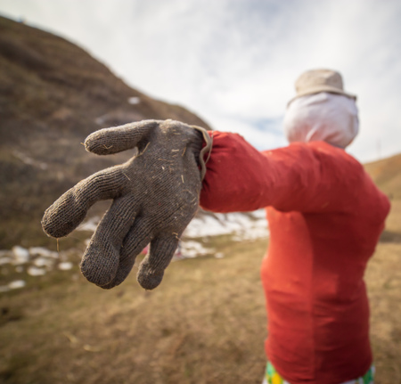 Effigy on Shrovetide on nature .の写真素材