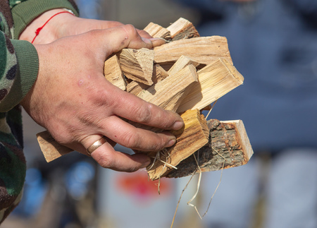 Firewood for a fire in the hands of nature .の写真素材