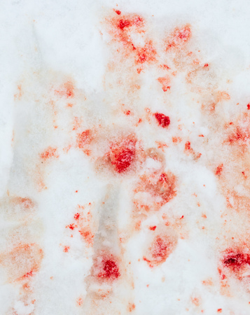 Red blood on white snow as a background.の写真素材