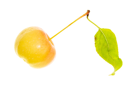 Ripe apple isolated on white background.の写真素材