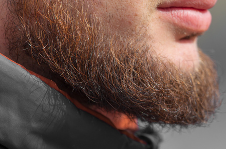 The hair on the beard of a man as a background .