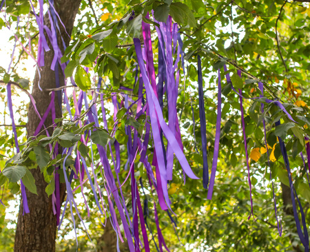 Purple ribbons on the branches of a tree in summer .