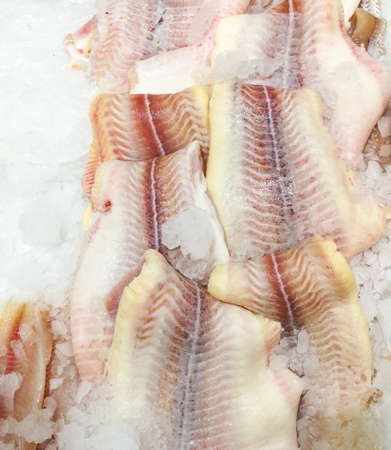 Fish in the ice on the counter in the store.