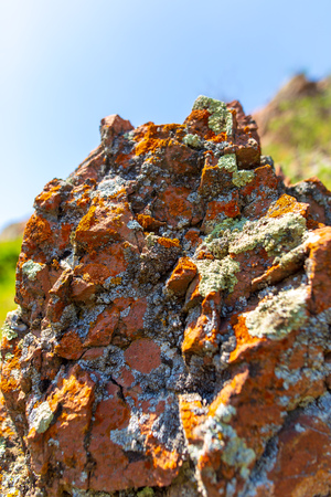 Stone rock in the mountains in spring.の写真素材