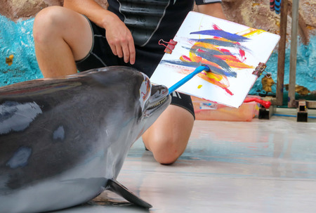 Dolphin paints a picture of a circus.の写真素材