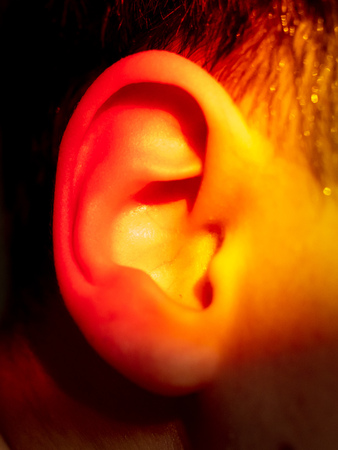 The ear of the boy in the light of the rainbow .の写真素材