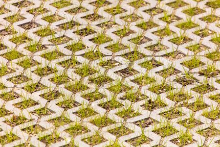 Grass on the sidewalk as background .の写真素材