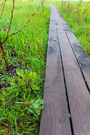 Wooden walkways on the land .の写真素材