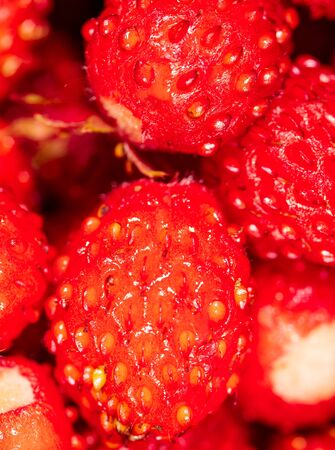 Red ripe strawberry as a background. Macroの写真素材