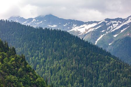 Beautiful mountains in the park in the Caucasus .の写真素材