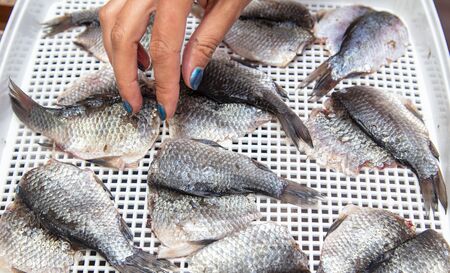 Drying fish in the house .の写真素材