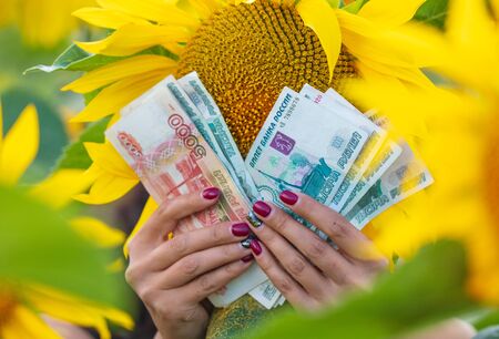 Money rubles in the hands of a girl in a field with sunflowers .の写真素材