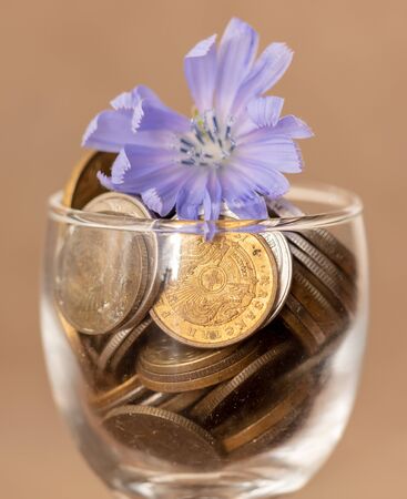 Blue flower in a glass cup with coins .