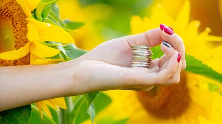 Coins in the hands of a girl in a field with sunflowers .の写真素材