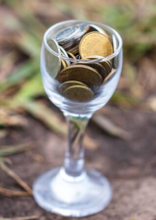 Coins in a glass cup in nature .の写真素材
