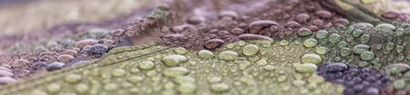 Raindrops on khaki color tent as abstract background .の写真素材