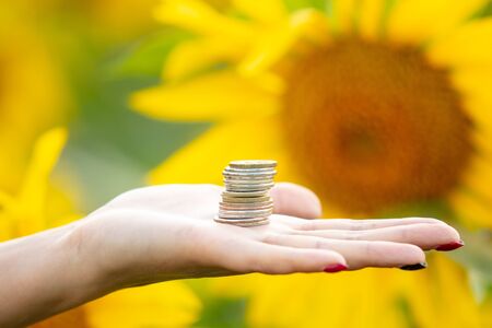 Coins in the hands of a girl in a field with sunflowers .の写真素材