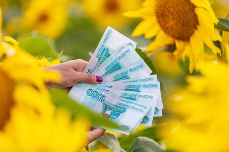 Money rubles in the hands of a girl in a field with sunflowers .