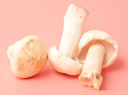 Mushrooms from the forest on a pink background.の写真素材